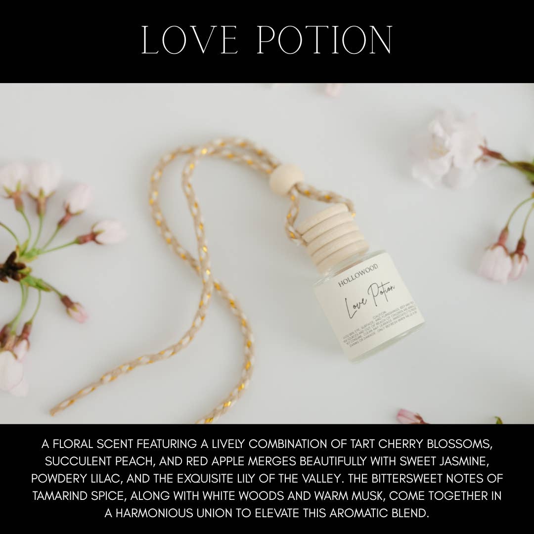 SPRING CAR DIFFUSERS: FRENCH LAVENDER